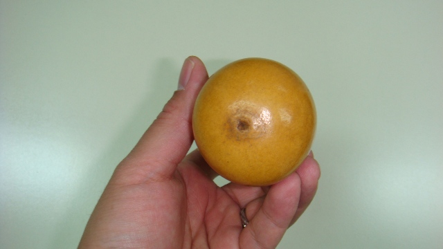 DSC04883.JPG