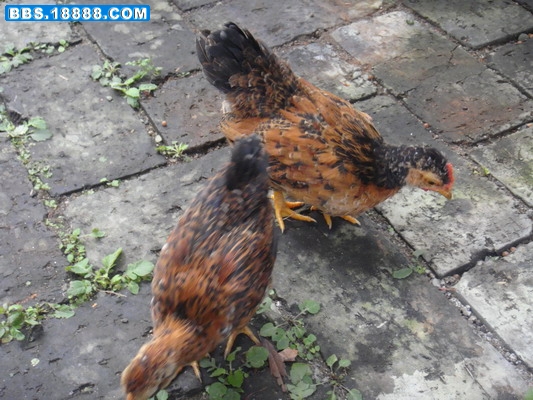 DSC01865_缩小大小.JPG