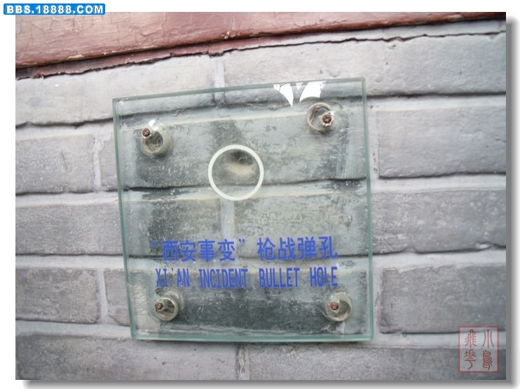 DSCF6023.jpg