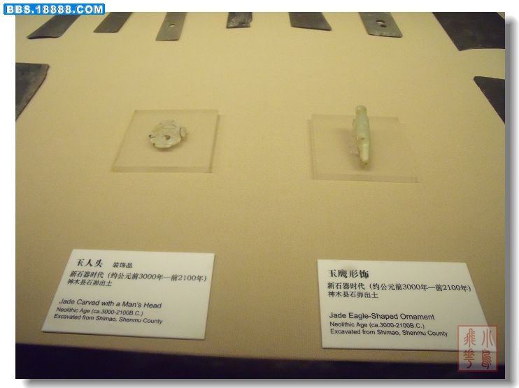 DSCF5866.jpg