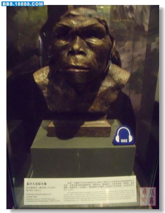 DSCF5856.jpg