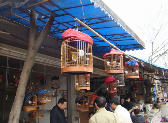 DSC06305.jpg