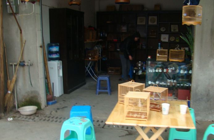 DSC06299.jpg