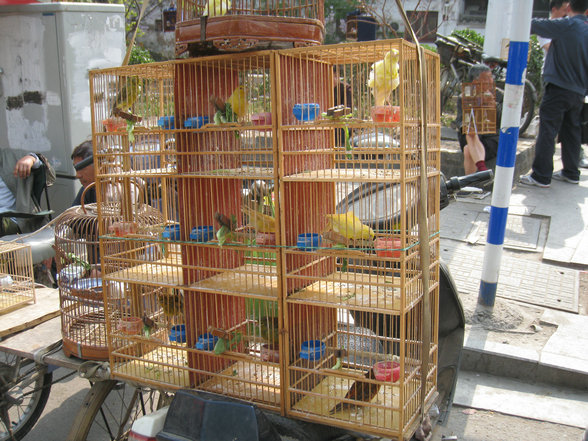 IMG_8635.jpg