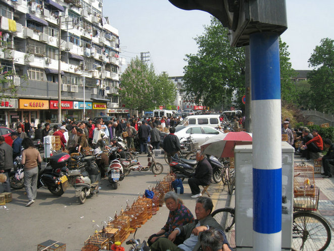 IMG_8629.jpg