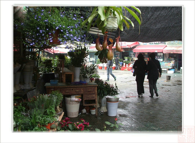 DSCF6293.JPG