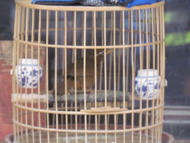 照片 040.jpg