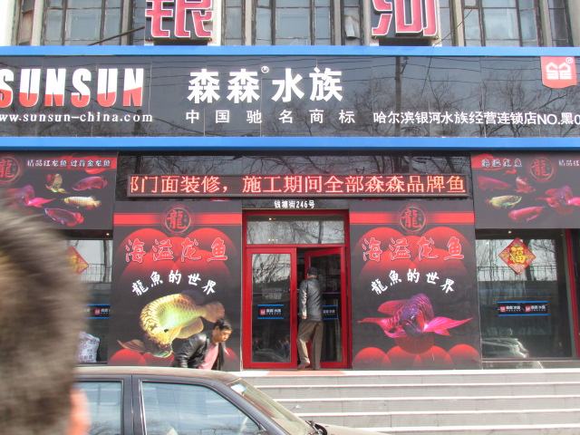 照片 031.jpg