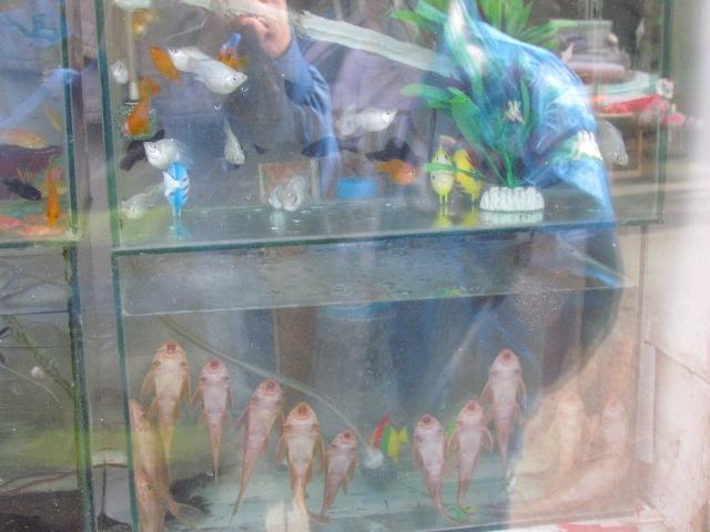 照片 038.jpg