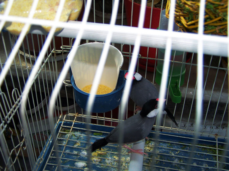 100_6210.jpg