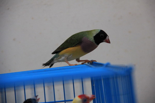 IMG_2198_缩小大小.JPG
