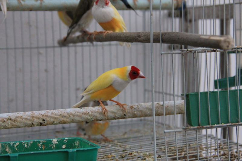 IMG_2180_缩小大小.JPG