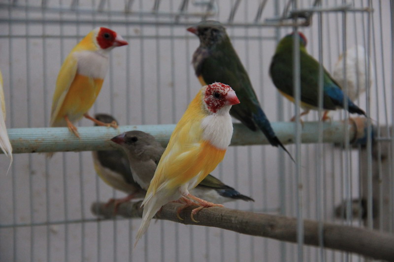 IMG_2175_缩小大小.JPG