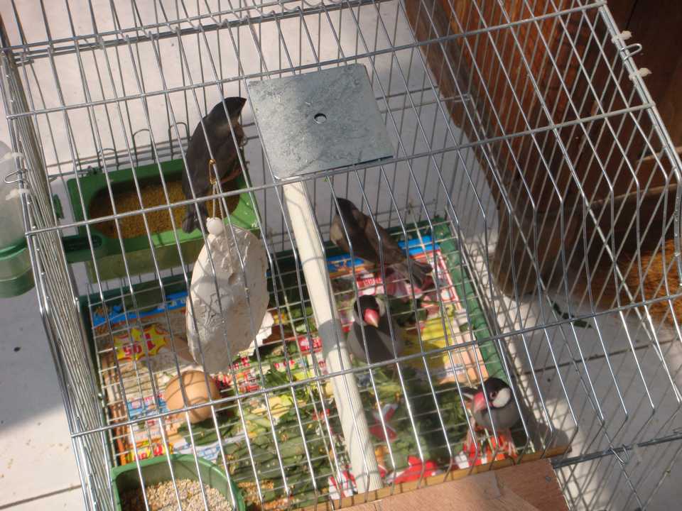 DSC00505.JPG