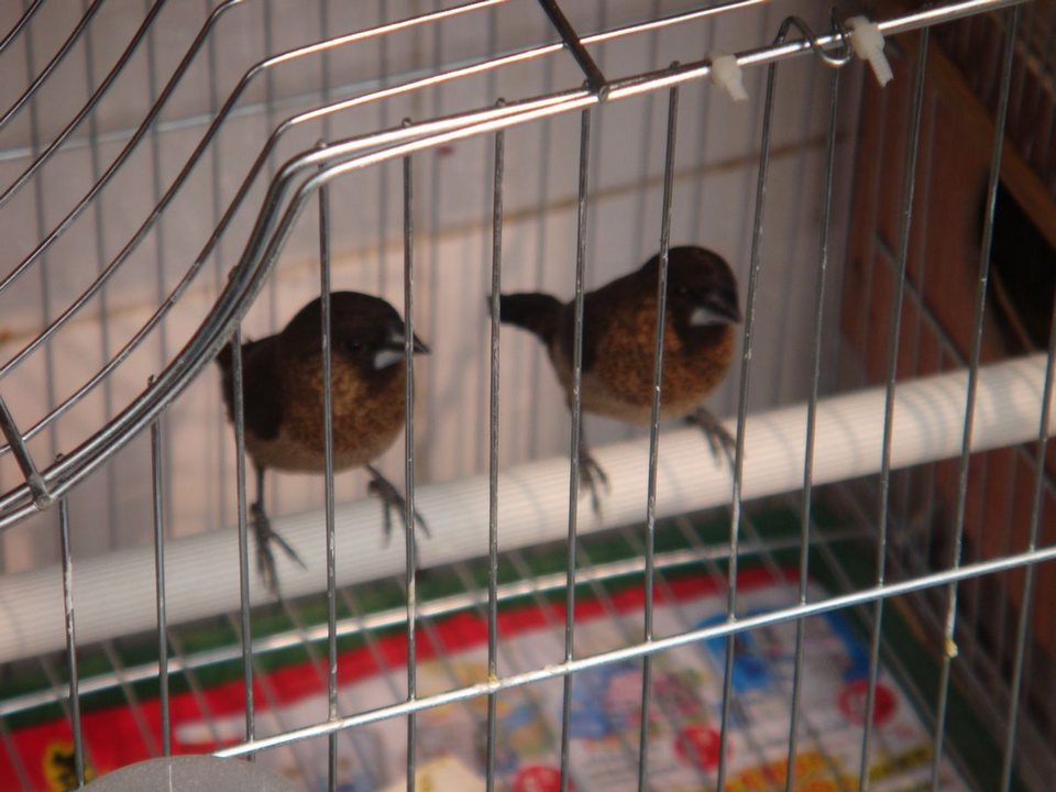 DSC00477.jpg