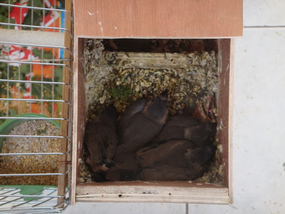 DSC00504.JPG