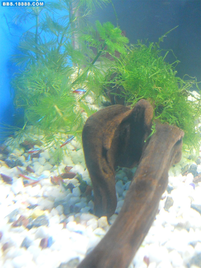 照片-022.jpg