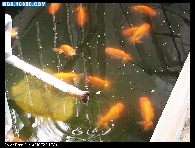 nEO_IMG_照片 001.jpg