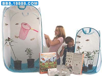 kids24sm.jpg