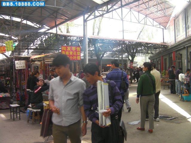 SANY2524.JPG