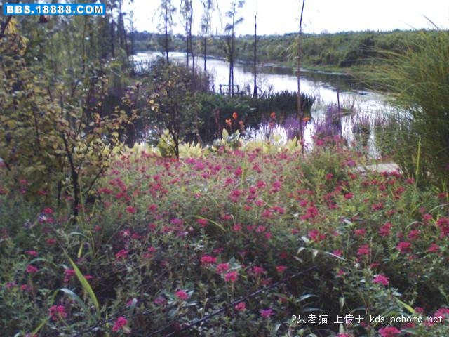 pics_sube_1192122731.jpg