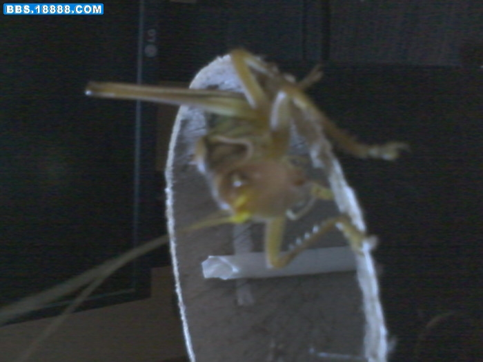 YP20110406154649.jpg
