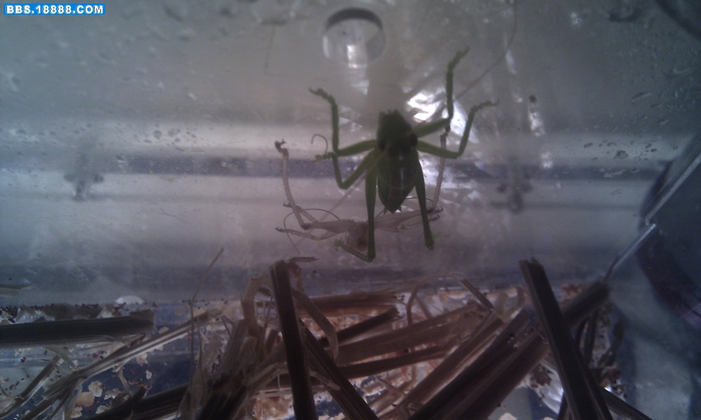 IMAG0153.jpg