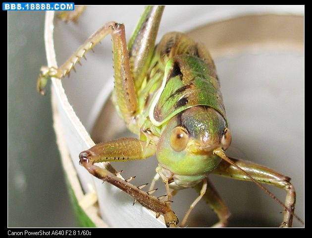 nEO_IMG_照片 008.jpg
