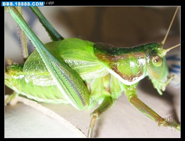 nEO_IMG_照片 011.jpg