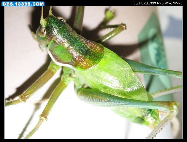 nEO_IMG_照片 009.jpg
