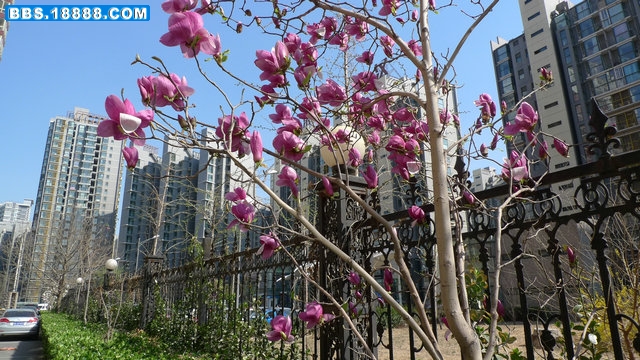 P1010761.jpg