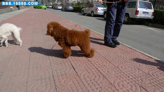 P1010771.jpg