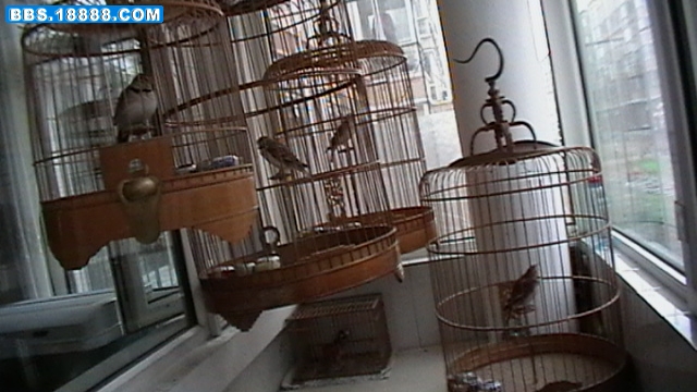 IMGA0373.JPG