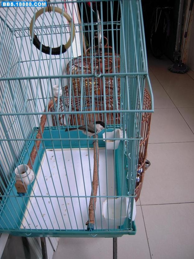 DSCN0622.JPG