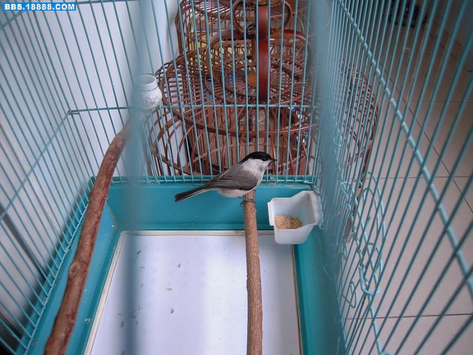 DSCN0590.JPG