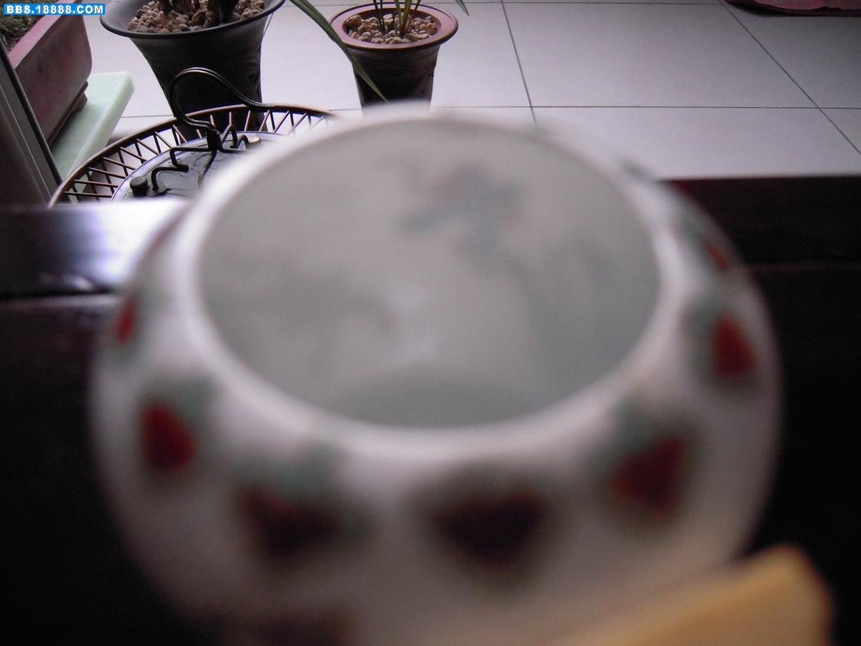 DSCN0681.JPG