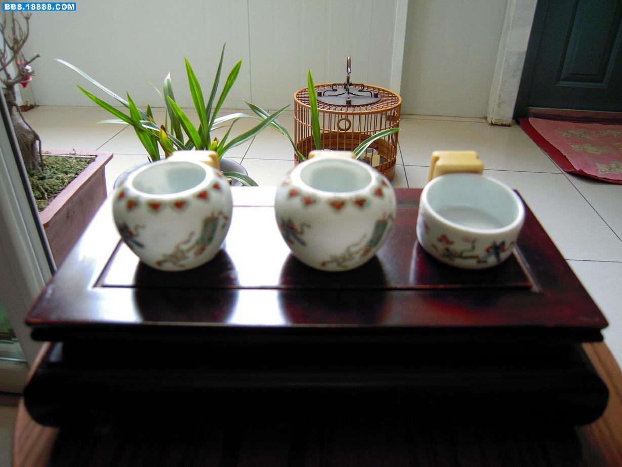 DSCN0635.JPG