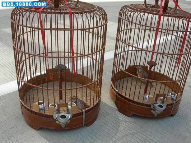 长白山照片 151.jpg