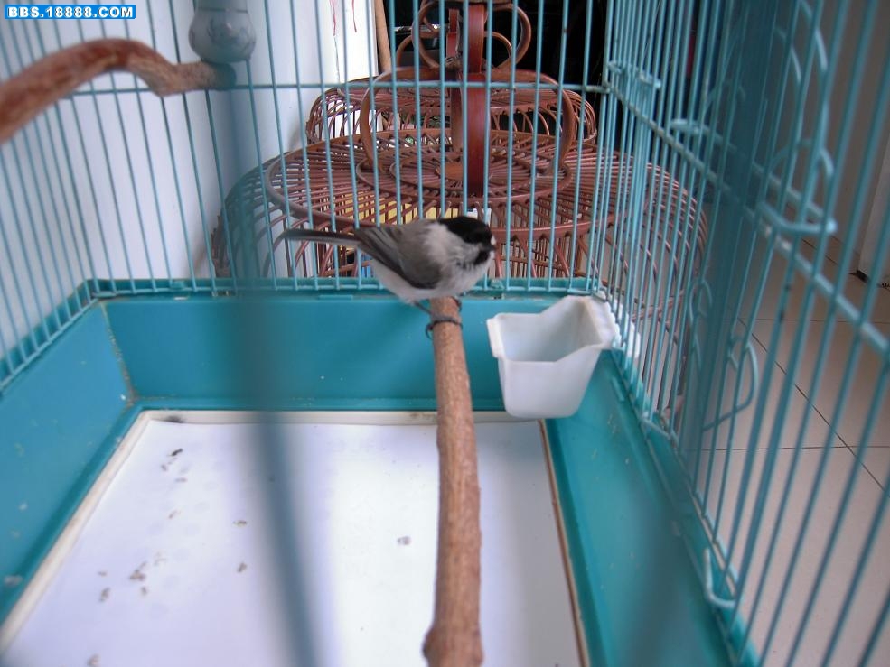 DSCN0616.JPG