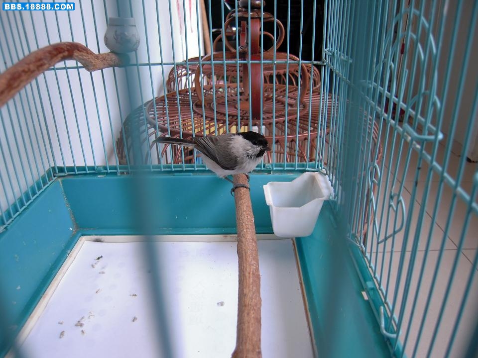 DSCN0615.JPG