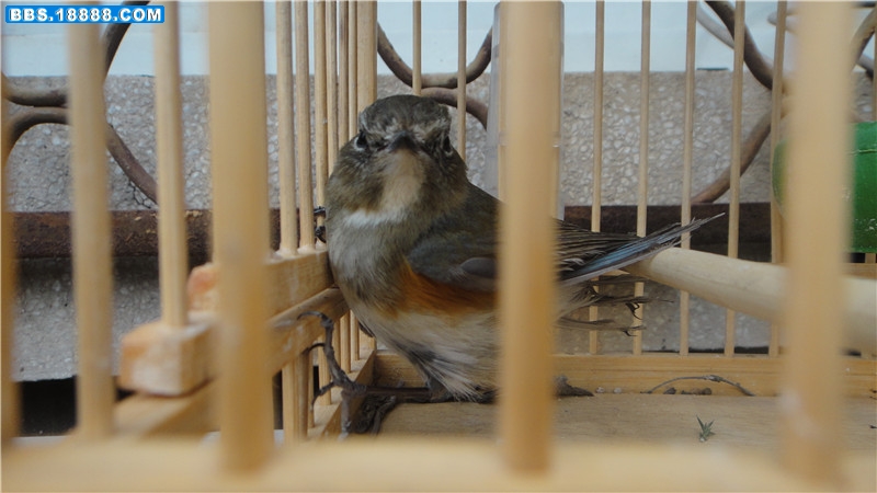 DSC00288_副本.jpg