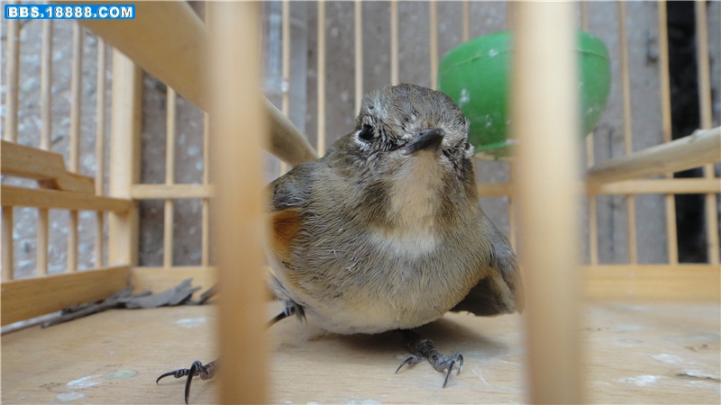 DSC00283_副本.jpg
