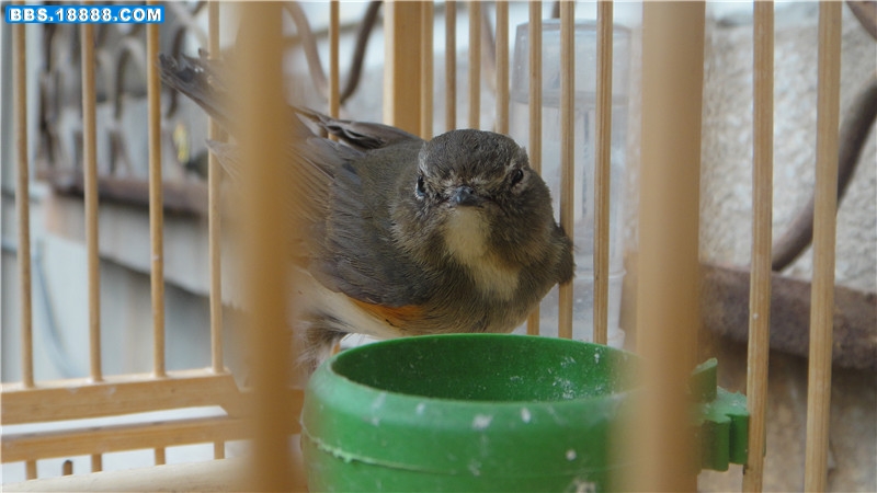 DSC00290_副本.jpg