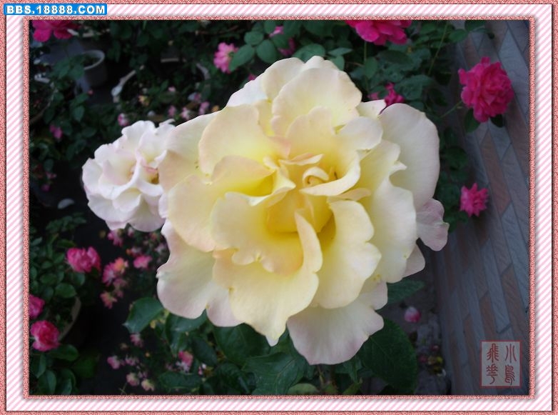 DSCF4027.jpg