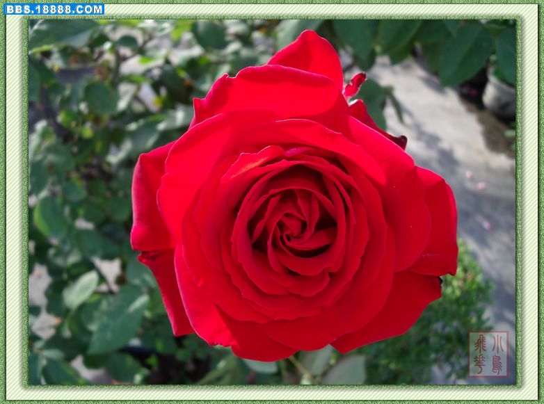 DSCF4006.jpg