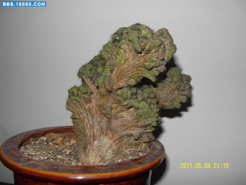 SDC11214好.jpg