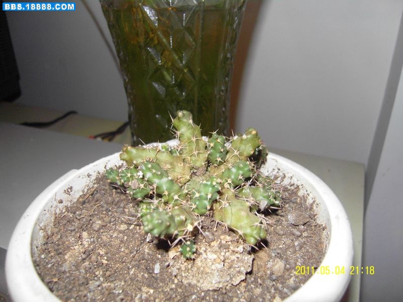 SDC11208新.jpg
