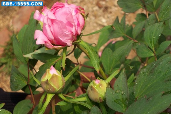 100_8173.JPG