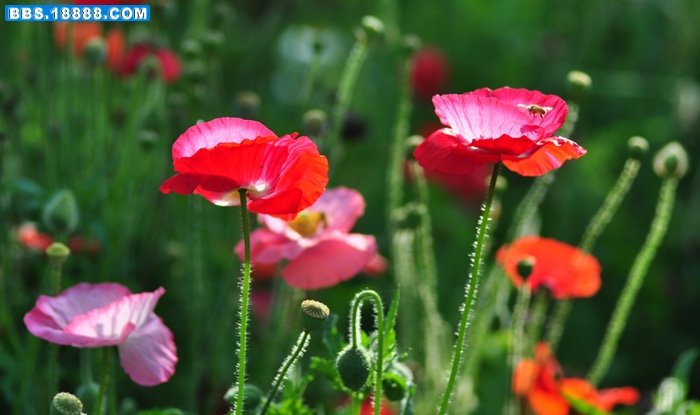 2011.5.5 047.jpg