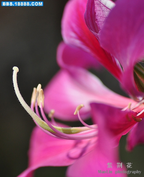 2011.5.7 028.jpg